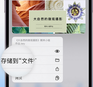 木鱼镇apple维修中心分享iPhone文件应用中存储和找到下载文件