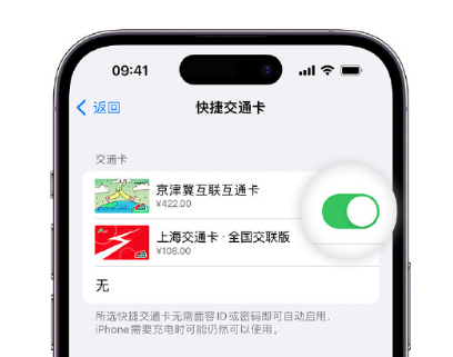 木鱼镇apple维修点分享iPhone上更换Apple Pay快捷交通卡手绘卡面 