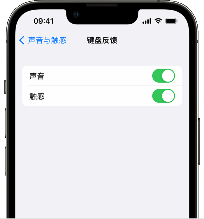 木鱼镇苹果14维修店分享如何在 iPhone 14 机型中使用触感键盘 