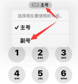 木鱼镇苹果14维修店分享iPhone 14 Pro Max使用副卡打电话的方法 