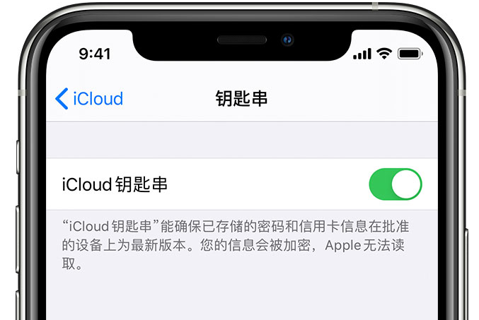 木鱼镇苹果手机维修分享在 iPhone 上开启 iCloud 钥匙串之后会储存哪些信息 