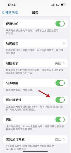 木鱼镇苹果手机维修分享iPhone手机如何设置摇一摇删除文字 